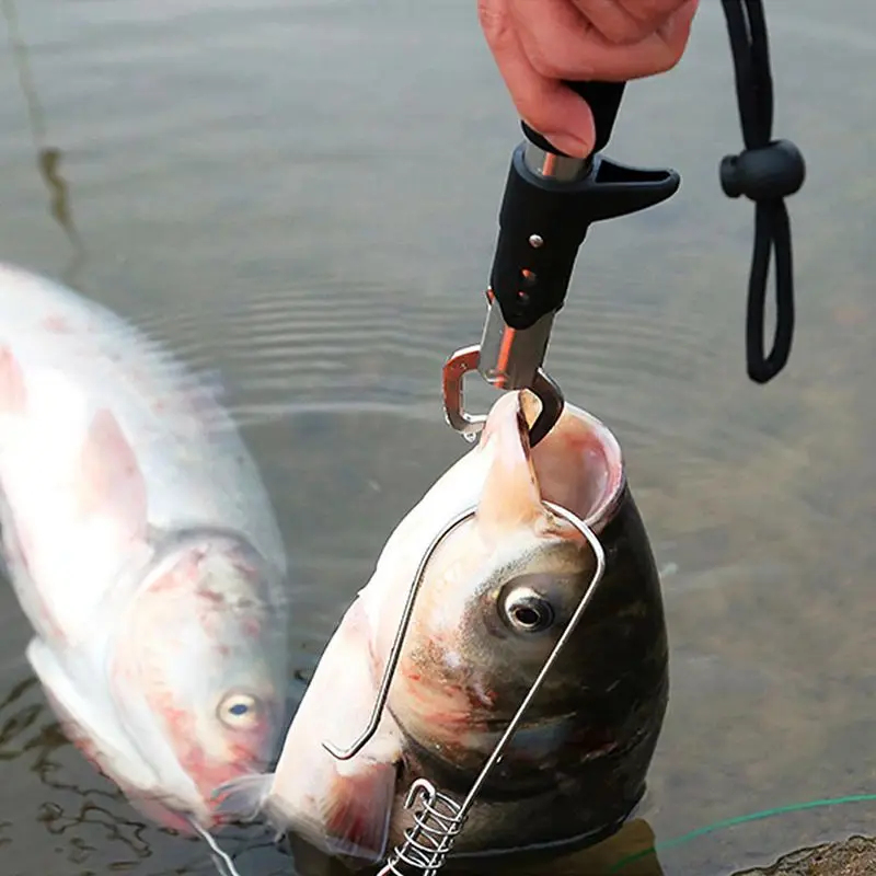 1/2/3/4/5pcs Portable Fishing  - Freshwater Fishing Kit incelemesi ve fiyatı